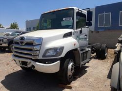 Hino salvage cars for sale: 2021 Hino 258 268