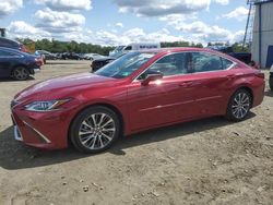 Lexus salvage cars for sale: 2019 Lexus ES 350