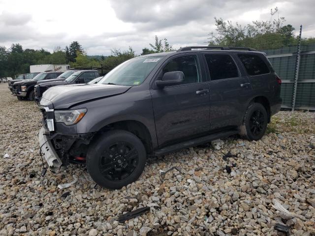 2019 Toyota Sequoia SR5