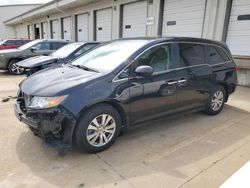 Honda Odyssey exl salvage cars for sale: 2016 Honda Odyssey EXL