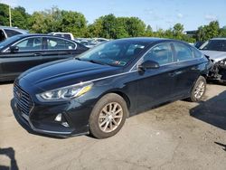 Hyundai Sonata salvage cars for sale: 2019 Hyundai Sonata SE