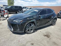 Lexus salvage cars for sale: 2019 Lexus UX 250H