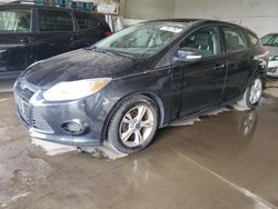 Ford Focus salvage cars for sale: 2013 Ford Focus SE