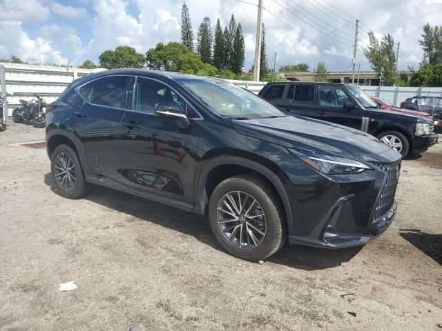 2024 Lexus NX 250 Premium