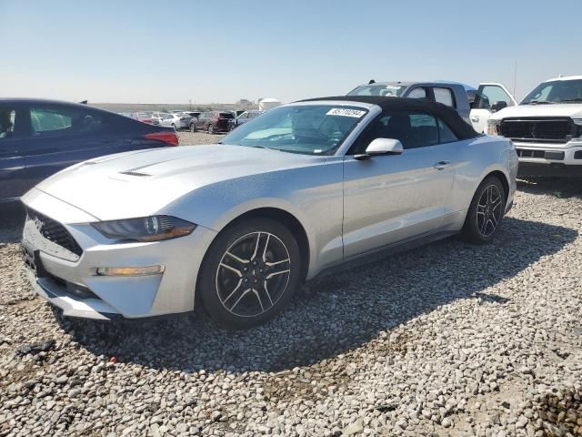 2019 Ford Mustang