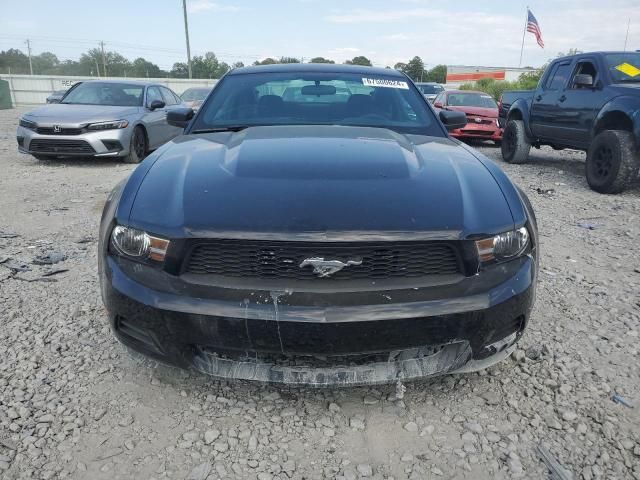 2010 Ford Mustang