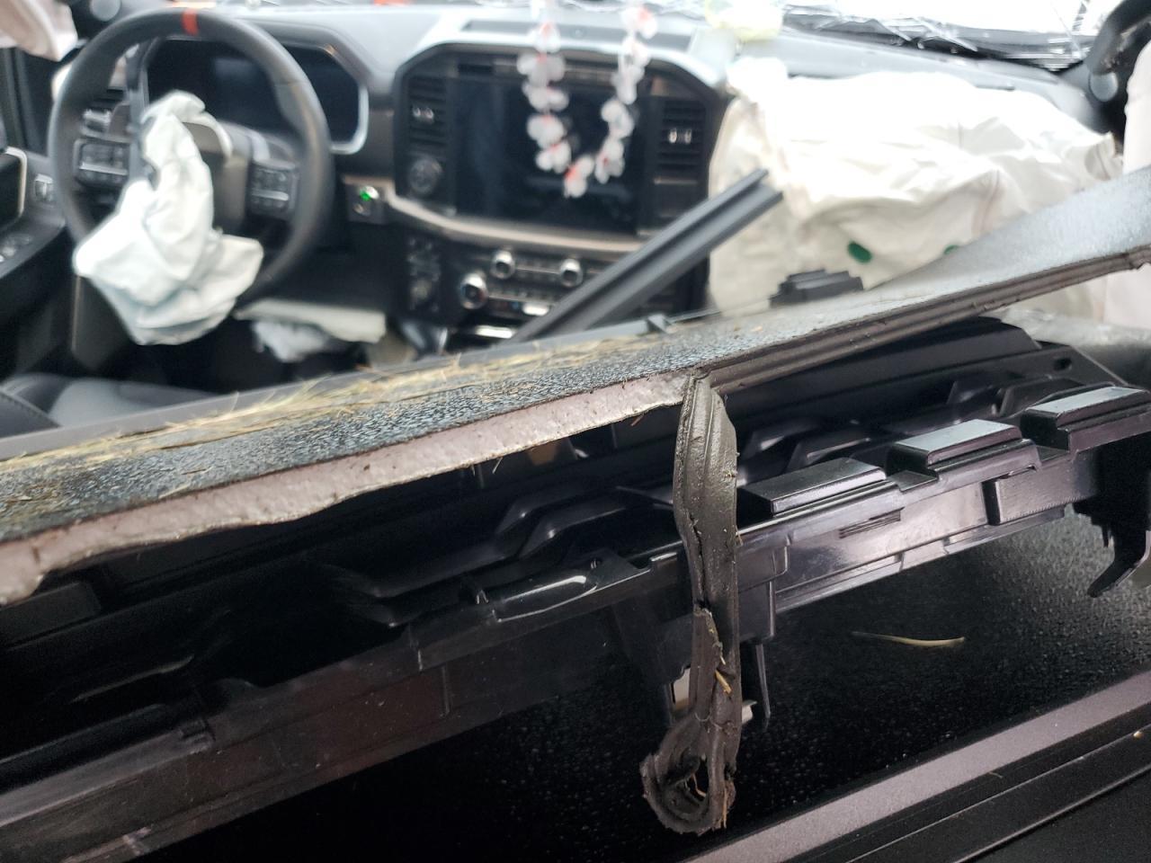 2023 Ford F150 Raptor