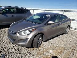 Hyundai Elantra salvage cars for sale: 2014 Hyundai Elantra SE