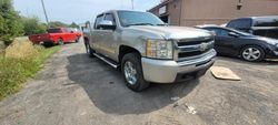 Chevrolet Silverado k1500 Hybrid Vehiculos salvage en venta: 2009 Chevrolet Silverado K1500 Hybrid