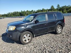 Honda Pilot salvage cars for sale: 2010 Honda Pilot EX