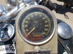 2001 Harley-Davidson Flstci