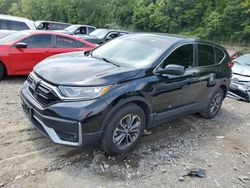 Honda salvage cars for sale: 2021 Honda CR-V EX