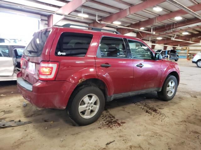 2010 Ford Escape XLT