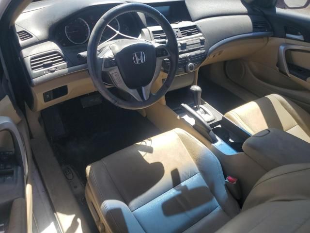 2010 Honda Accord EXL