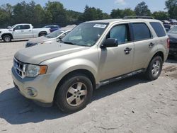 2011 Ford Escape XLT for sale in Madisonville, TN