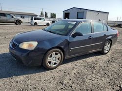 Chevrolet Malibu salvage cars for sale: 2006 Chevrolet Malibu LT