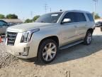 2015 Cadillac Escalade Luxury