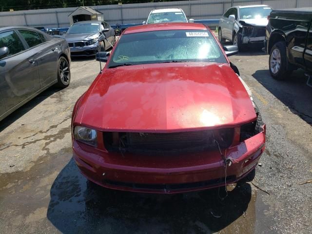 2005 Ford Mustang GT