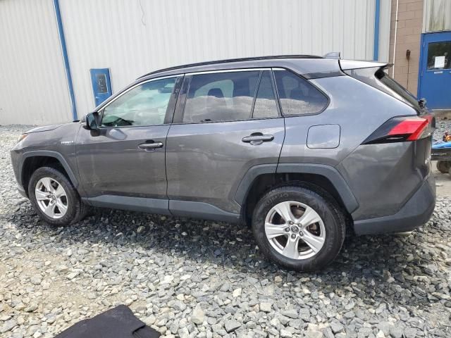 2019 Toyota Rav4 LE