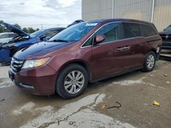 Honda Odyssey exl salvage cars for sale: 2016 Honda Odyssey EXL