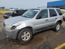 2006 Ford Escape XLT for sale in Woodhaven, MI