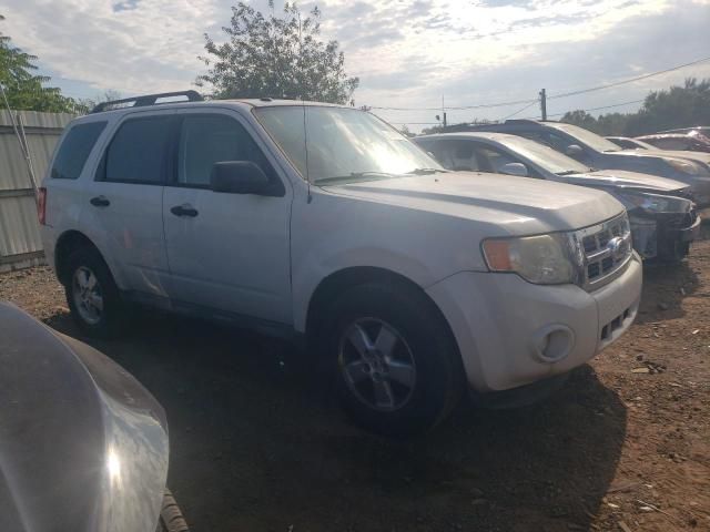 2009 Ford Escape XLT