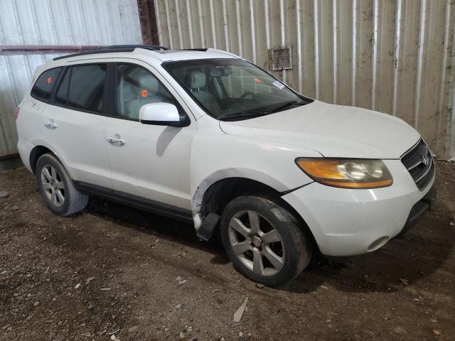 2009 Hyundai Santa FE SE