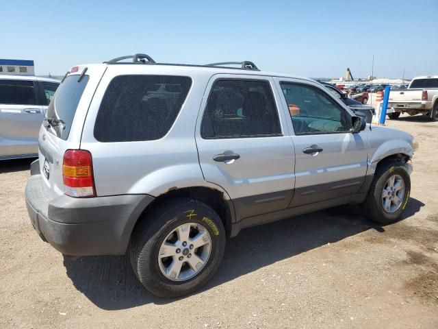 2007 Ford Escape XLT