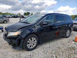 Honda Odyssey ex salvage cars for sale: 2014 Honda Odyssey EX