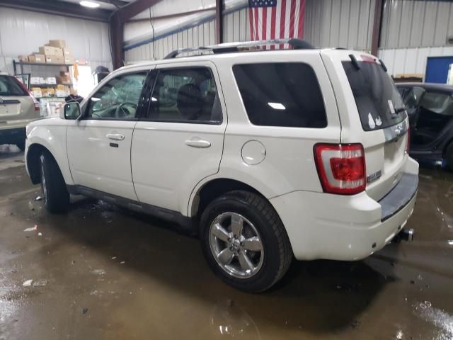 2011 Ford Escape Limited