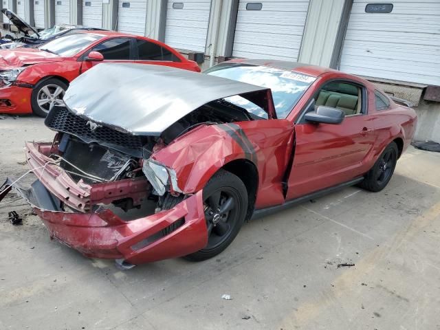 2005 Ford Mustang