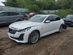 Cadillac ct5 salvage cars for sale: 2021 Cadillac CT5 Premium Luxury