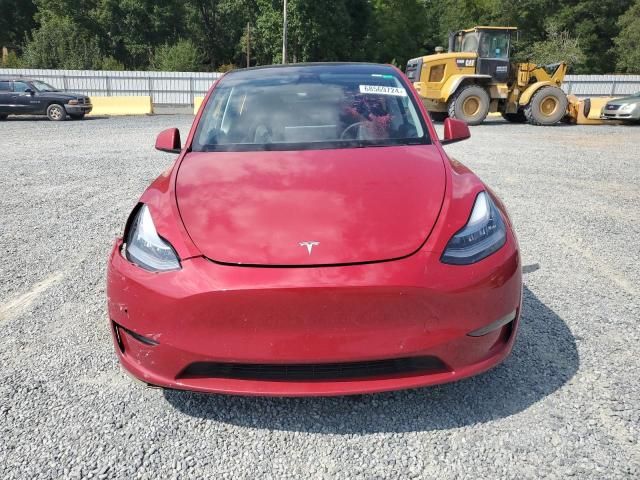 2022 Tesla Model Y