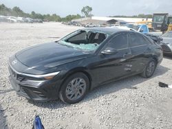 Hyundai Elantra salvage cars for sale: 2024 Hyundai Elantra SEL