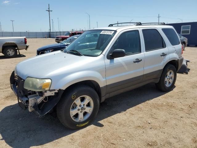 2007 Ford Escape XLT