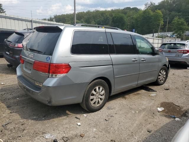 2010 Honda Odyssey EX