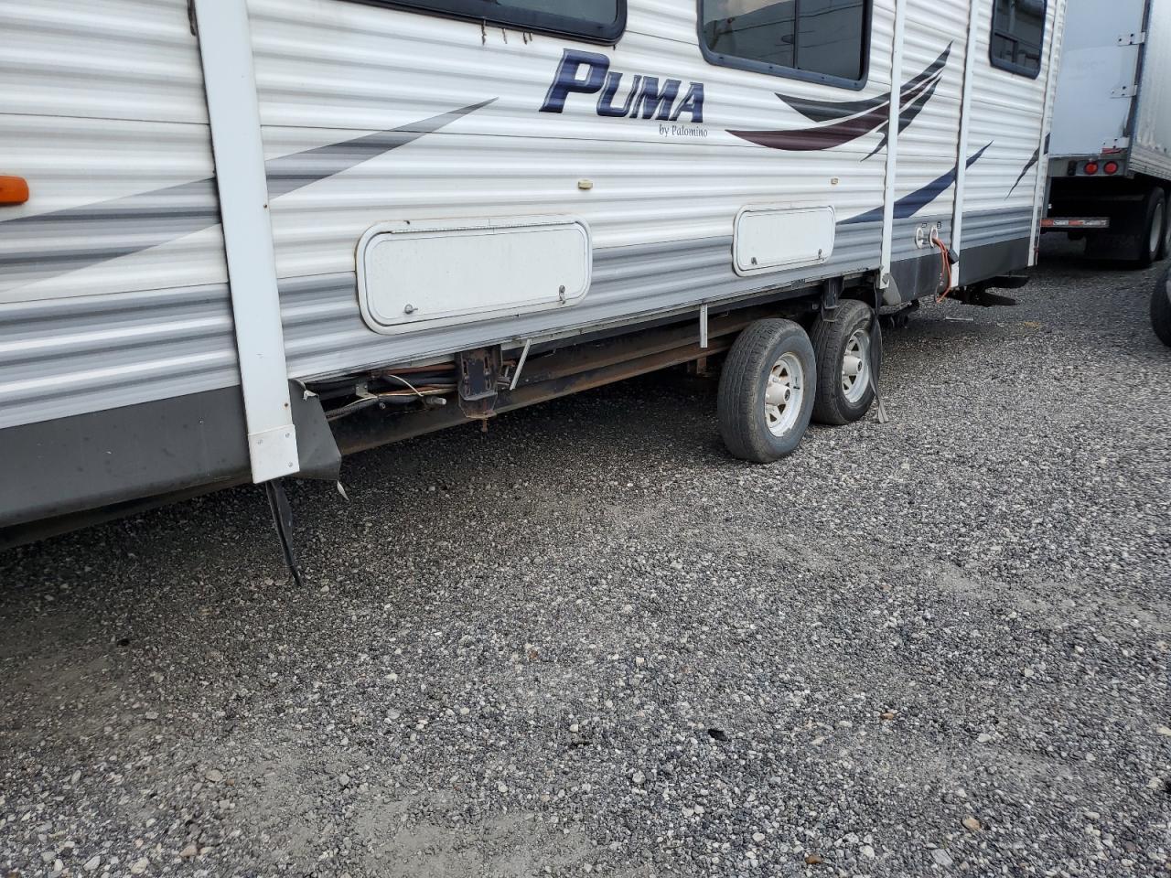 2011 Palomino Puma