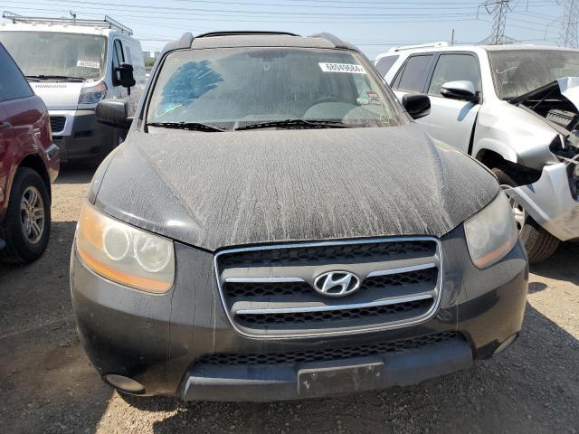 2009 Hyundai Santa FE SE
