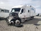 2020 Freightliner Cascadia 116
