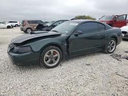 2001 Ford Mustang GT for sale in Taylor, TX