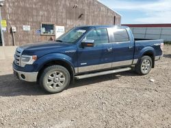 Ford f-150 salvage cars for sale: 2014 Ford F150 Supercrew