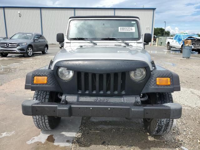 2002 Jeep Wrangler / TJ X