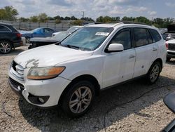 Hyundai Santa fe salvage cars for sale: 2010 Hyundai Santa FE Limited