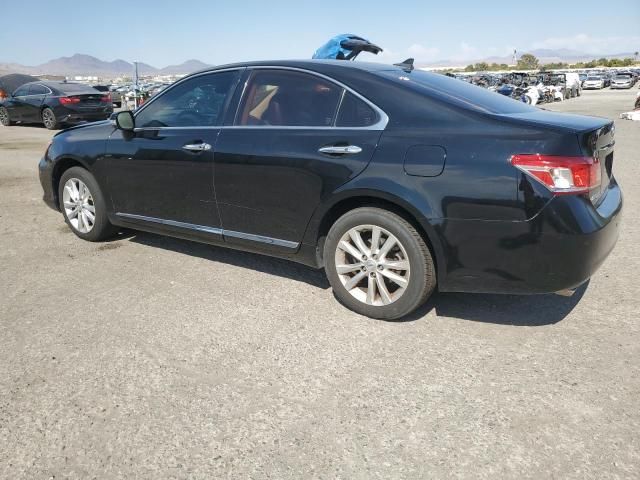 2010 Lexus ES 350