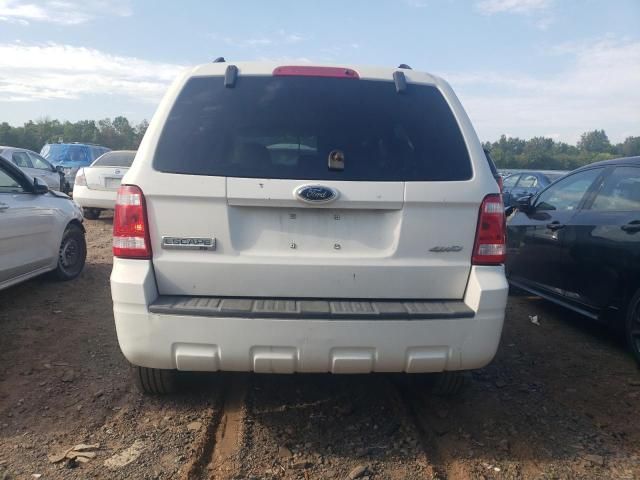 2009 Ford Escape XLT