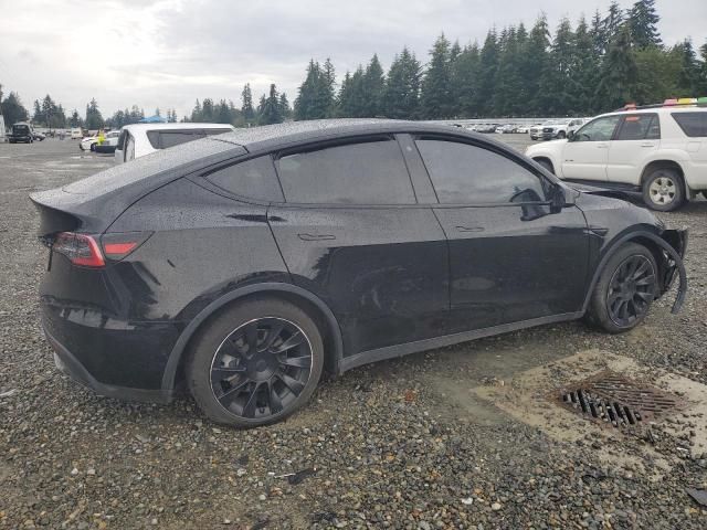 2020 Tesla Model Y