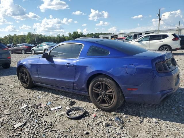 2014 Ford Mustang