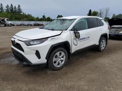 Vehiculos salvage en venta de Copart Ontario Auction, ON: 2023 Toyota Rav4 LE