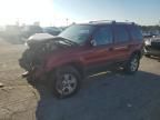 2005 Ford Escape XLT