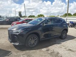 Salvage cars for sale from Copart Miami, FL: 2024 Lexus NX 250 Premium